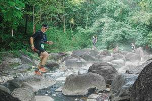 BIB: 
                            <button type="button" onclick="openModal(25113848)" class="btn btn-primary btn-sm float-right btn-popup" data-toggle="modal" data-target=".modal-high-quality">
                        <i class="fas fa-shopping-cart"></i> Add to Cart
                    </button>
                                            <button type="button" onclick="isThisMe(25113848, true)" class="btn btn-success btn-sm float-right btn-popup btn-isme hidden" data-toggle="tooltip" data-placement="bottom" title="นี่คือรูปของคุณใช่ไหม คลิกที่นี่เพื่อเอาเข้าอัลบั้ม">
                        <i class="fas fa-plus"></i> Add to album
                    </button>
                    <button type="button" onclick="isThisMe(25113848, false)" class="btn btn-warning btn-sm float-right btn-popup btn-isnotme hidden">
                        <i class="fas fa-ban"></i> Remove from album
                    </button>